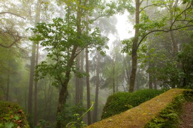 pena Sarayı, sisli hava, sintra, Portekiz muhteşem sokakta park