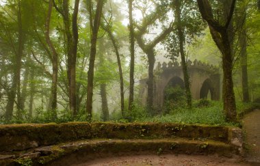 pena Sarayı, sisli hava muhteşem sokakta park. sintra, Portekiz