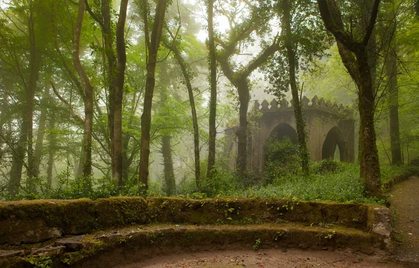 Park van het pena paleis, het fantastische steegje in mistig weer. Portugal, sintra — Stockfoto