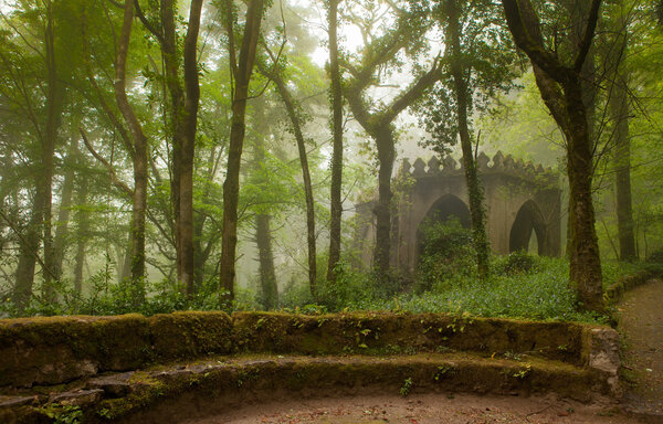 Park of the Pena Palace, the fabulous alley in foggy weather. Portugal, Sintra