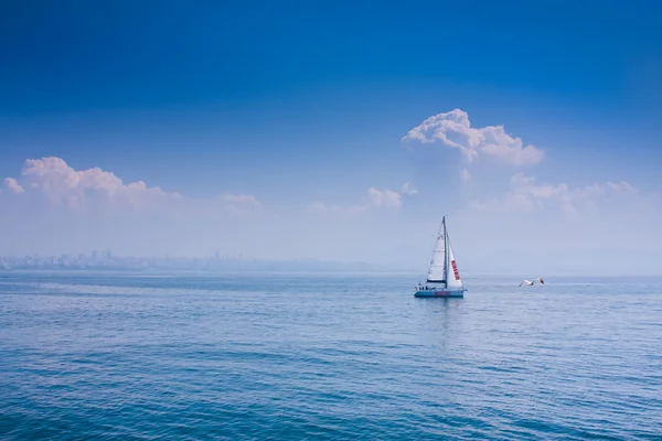 博斯普鲁斯海峡，拥有游艇和海鸥的海景 — 图库照片