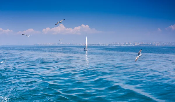 Bosporus, zeegezicht met jacht en meeuwen