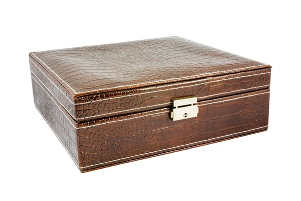 Timsah deri kahverengi kutusu