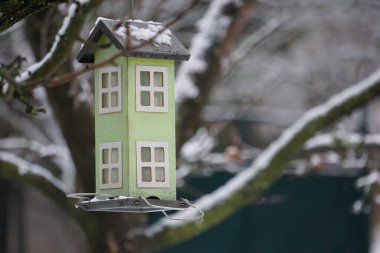 Kışın ağaçta asılı yeşil kuş evi