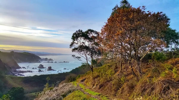 秋の風景 山の斜面に黄色の葉を持つ木々 水の中の岩と海の海岸の背景に崖の端に沿ってパス スペインのカンタブリア州 — ストック写真