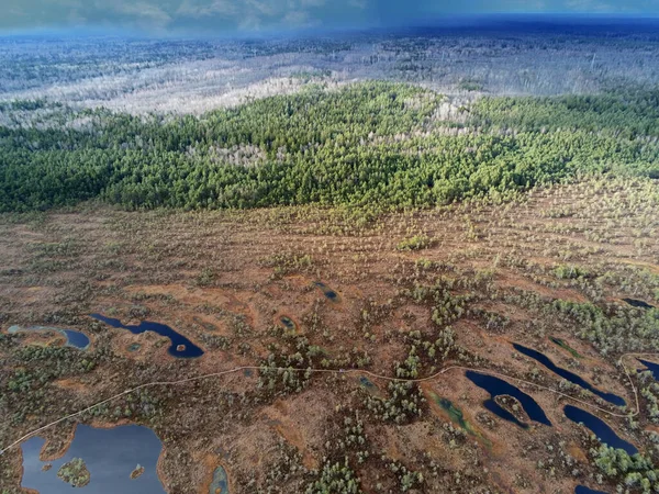Fågelperspektiv Vandringsleden Genom Träsket Grön Barrskog Och Blå Himmel Syns — Stockfoto