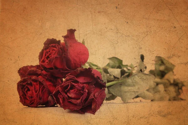 Suché červené růže na staré hnědé grunge papír — Stock fotografie