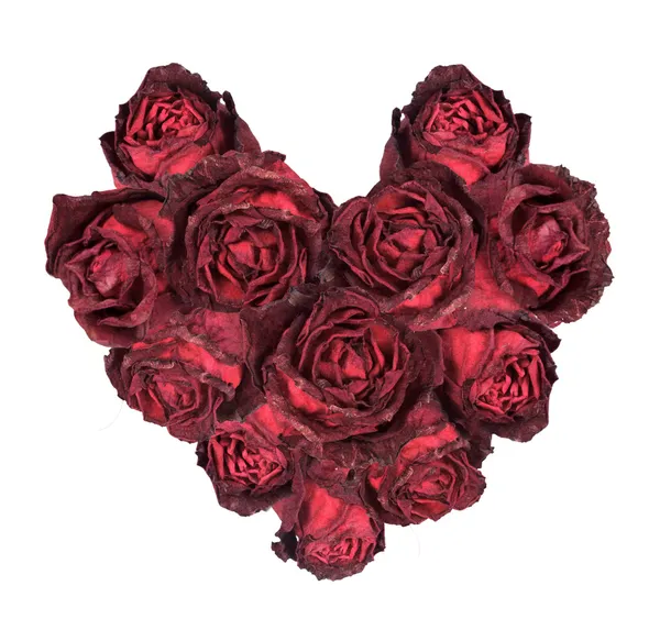 干燥的红玫瑰，安排在心被隔绝在白色背景上的形状 — 图库照片
