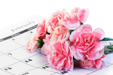 Karanfil çiçeği beyaz takvimde izole