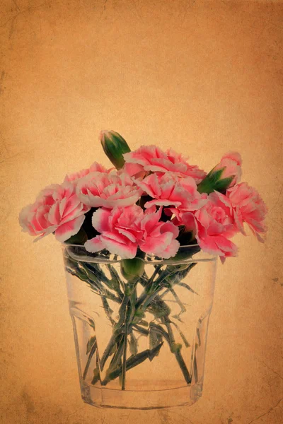 Karafiát květina na vinobraní grunge papírové pozadí — Stock fotografie