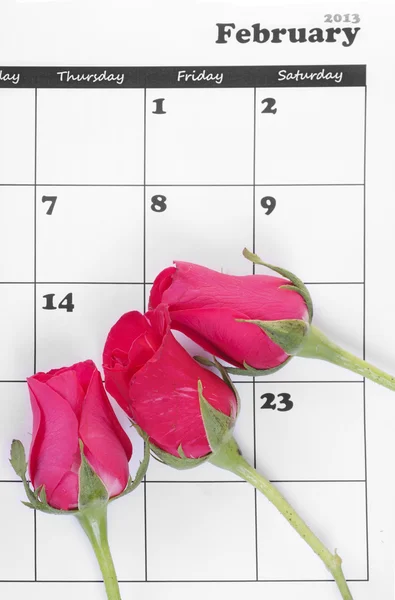 stock image Pink rose on white calendar