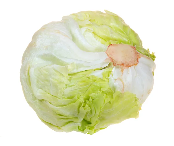 Iceberg lettuce isolated on white background — Stock Photo, Image