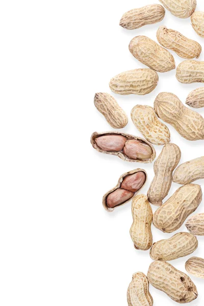 Dry peanut isolated on white background — Stock Photo, Image