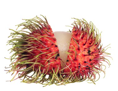 Tayland Asya rambutan beyaz zemin üzerine izole