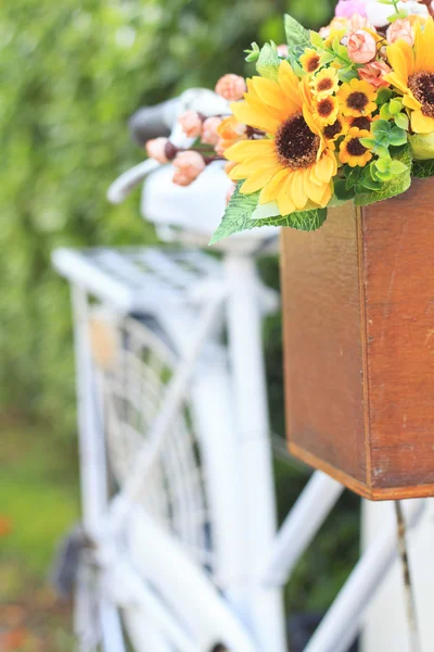 Blumentopf auf dem Fahrrad bei sonnigem Tag — Stockfoto