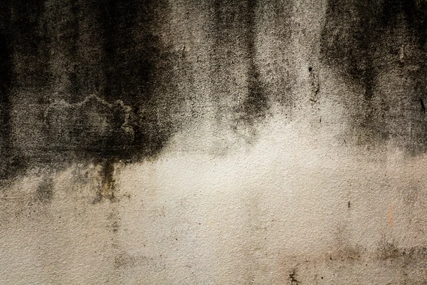 Текстурований гранжевий фон цементної стіни — стокове фото