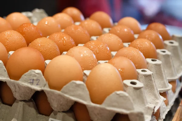 Frische Eier auf Karton — Stockfoto