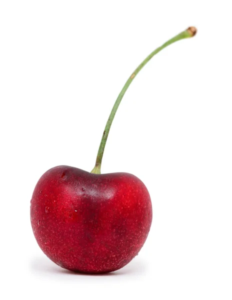 Cereza roja fresca aislada sobre fondo blanco —  Fotos de Stock