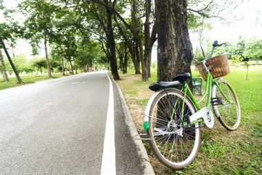 Vintage Bisiklet park