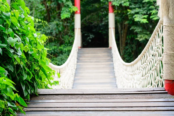 White rope bridge — Stock Photo, Image