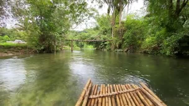 Bamboo Rafting Clear Water Stream Forest — Stock Video