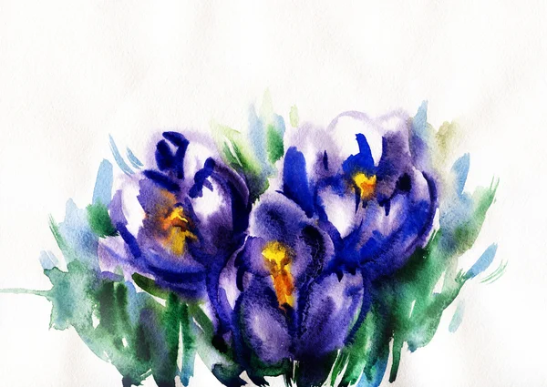 Kleur illustratie van bloemen — Stockfoto