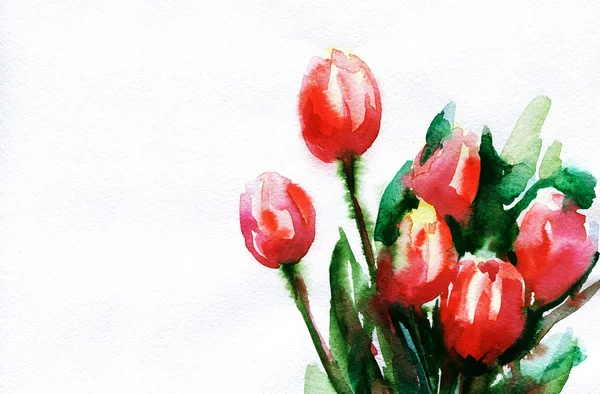 Flores .watercolor ilustración — Foto de Stock