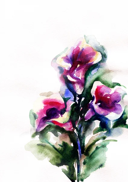 Flores .watercolor ilustración —  Fotos de Stock