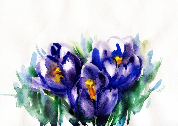 Bloemen .watercolor illustratie — Stockfoto