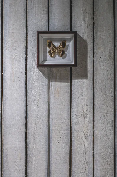 Dead butterfly in the frame on the wall — Stock Photo, Image
