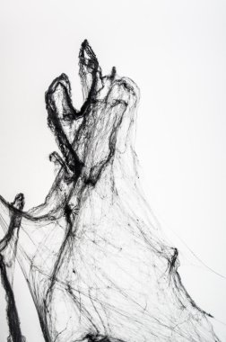 siyah spiderweb