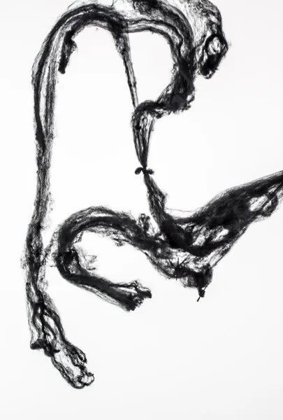 검은 거미줄 — 스톡 사진