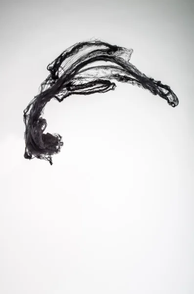 Păianjen negru — Fotografie, imagine de stoc