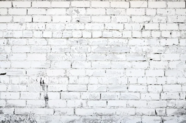 Mur en brique blanche — Photo