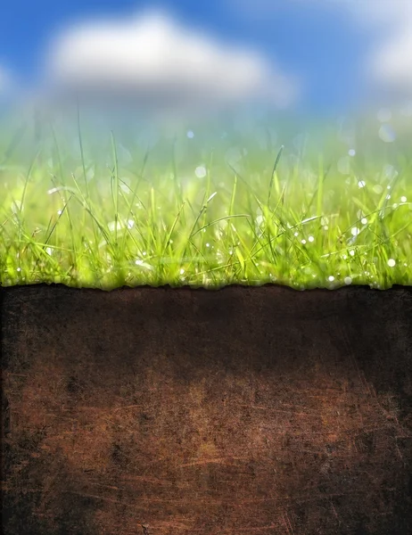 Gras mit Bodenstruktur — Stockfoto