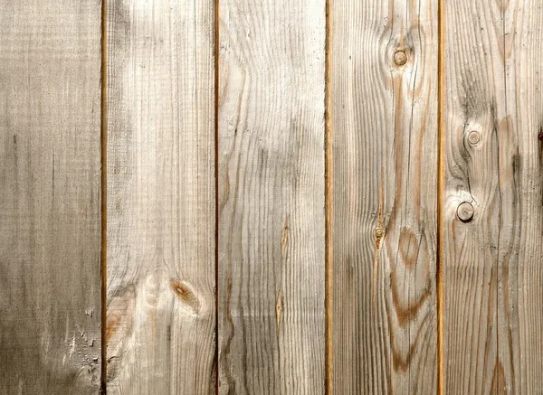 Textura madera — Foto de Stock