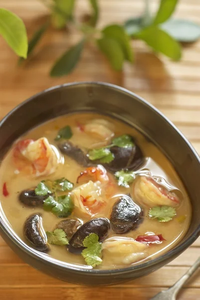 Tom-Yam-Suppe mit Garnelen, Pilzen und Kokosmilch — Stockfoto