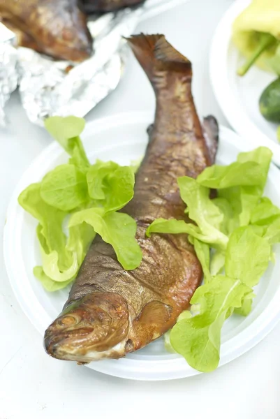 Копченая форель с зеленым салатом — стоковое фото
