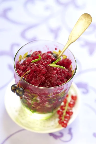 Sorbet aus schwarzen und roten Johannisbeeren — Stockfoto