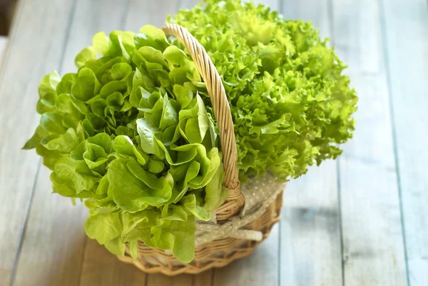 Basket with fresh lettuce — Stock Photo, Image