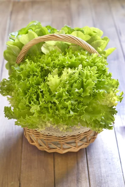 Basket with fresh lettuce — Stock Photo, Image