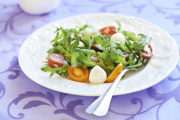 Verse salade met tomaten en mozzarella — Stockfoto