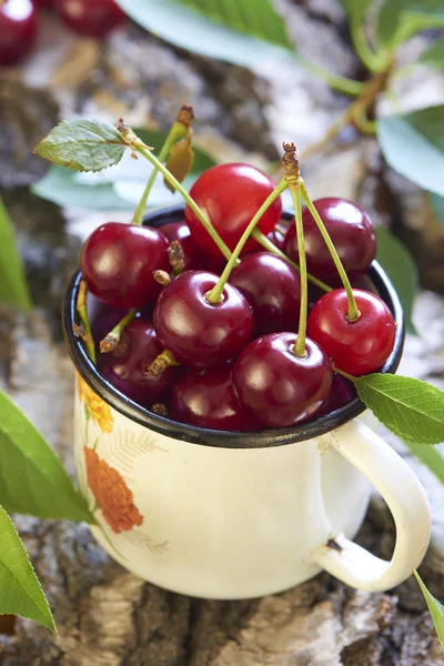 Ciliegia in tazza bianca — Foto Stock