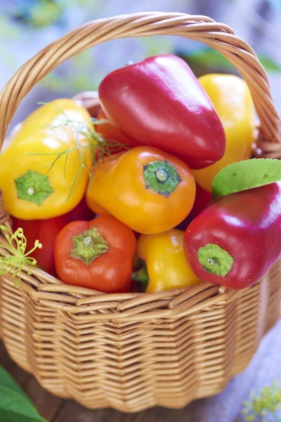 Korg med färska färgglada paprika — Stockfoto