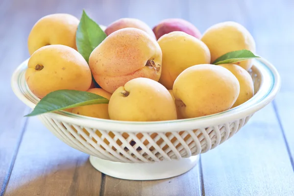 Fresh apricots — Stock Photo, Image