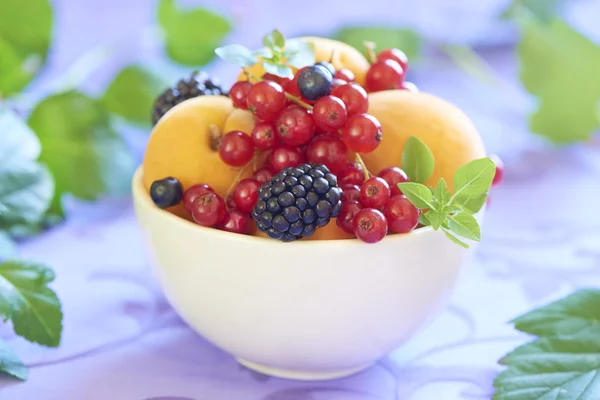 Tigela com frutas frescas e bagas — Fotografia de Stock