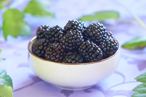 Fresh blackberry — Stock Photo, Image