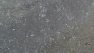 yağmur damlacıkları yakın çekim