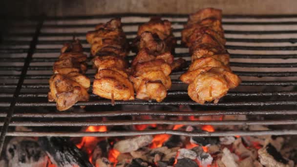 Primo piano di arrosto di carne sulla griglia del giardino — Video Stock