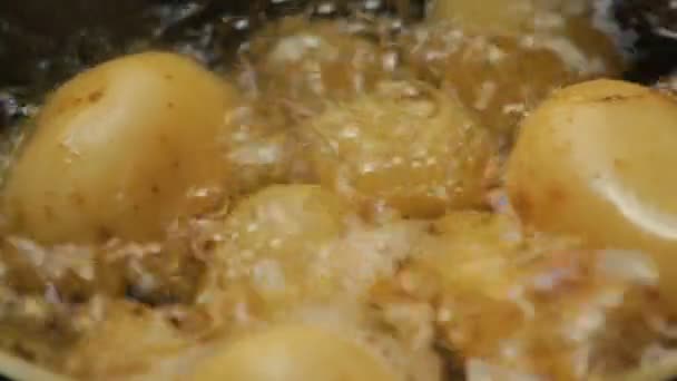 Kochendes Wasser mit Kartoffeln — Stockvideo